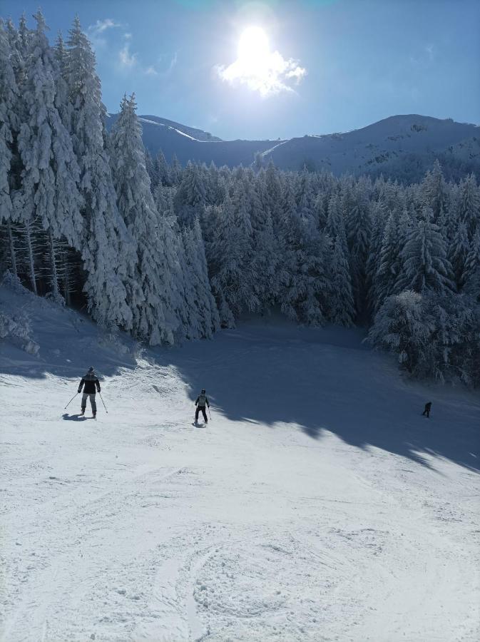 Monolocale Sulle Piste Alle Polle Riolunato Exterior foto